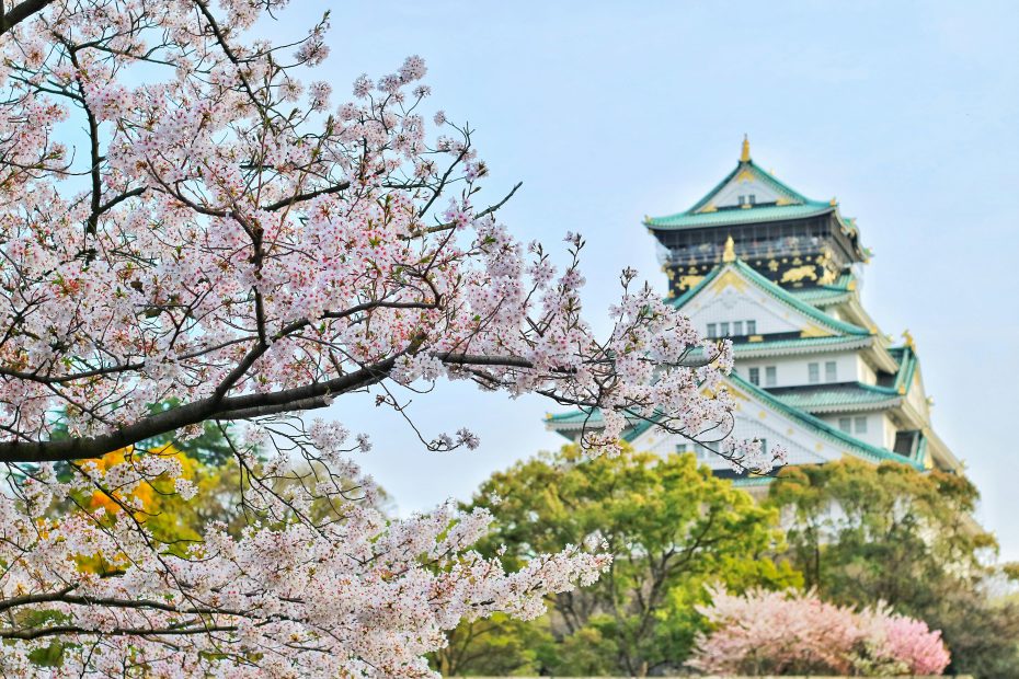 A scenic shot of Osaka castle in Japan.